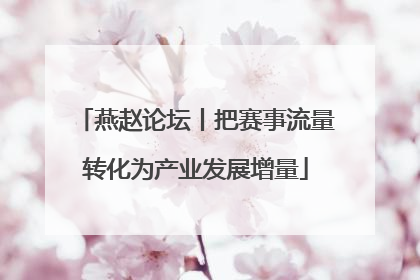 燕赵论坛丨把赛事流量转化为产业发展增量