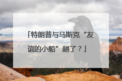 特朗普与马斯克“友谊的小船”翻了？