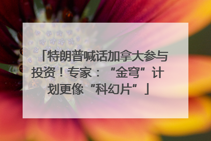 特朗普喊话加拿大参与投资！专家：“金穹”计划更像“科幻片”