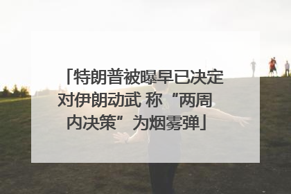 特朗普被曝早已决定对伊朗动武 称“两周内决策”为烟雾弹