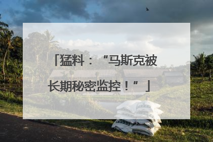 猛料：“马斯克被长期秘密监控！”