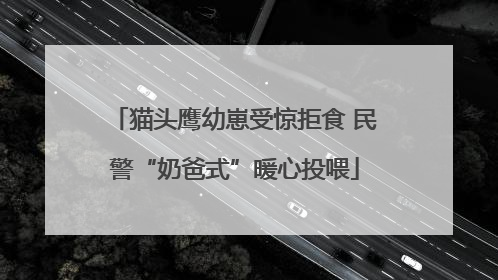 猫头鹰幼崽受惊拒食 民警“奶爸式”暖心投喂