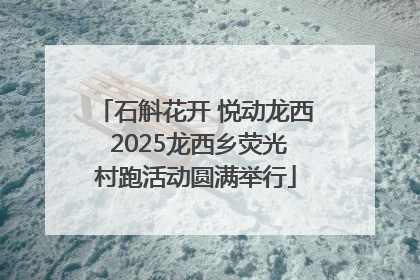石斛花开 悦动龙西 2025龙西乡荧光村跑活动圆满举行