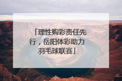 理性购彩责任先行，岳阳体彩助力羽毛球联赛