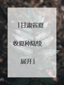 甘肃省夏收夏种陆续展开
