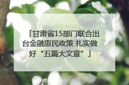 甘肃省15部门联合出台金融惠民政策 扎实做好“五篇大文章”