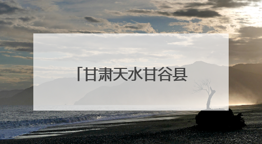 甘肃天水甘谷县：科技赋能辣椒全产业链发展