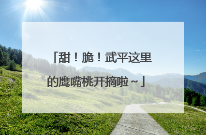 甜！脆！武平这里的鹰嘴桃开摘啦～
