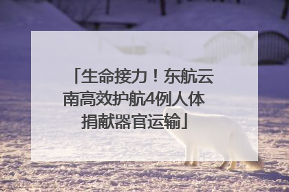 生命接力！东航云南高效护航4例人体捐献器官运输