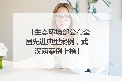生态环境部公布全国先进典型案例，武汉两案例上榜