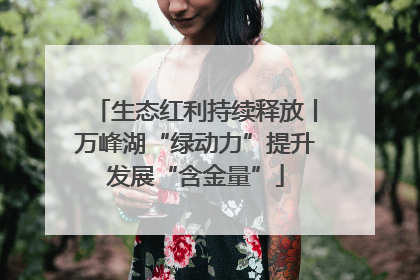 生态红利持续释放丨万峰湖“绿动力”提升发展“含金量”