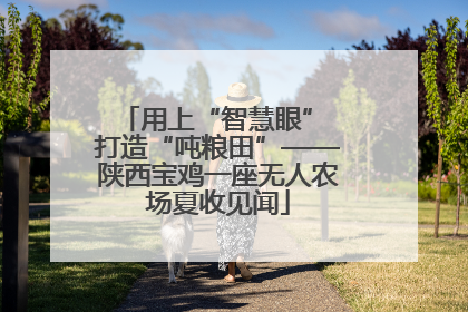 用上“智慧眼” 打造“吨粮田”——陕西宝鸡一座无人农场夏收见闻