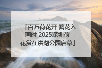 百万荷花开 簪花入画时 2025深圳荷花赏在洪湖公园启幕