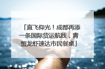 直飞仰光！成都再添一条国际货运航线，青蟹龙虾速达市民餐桌