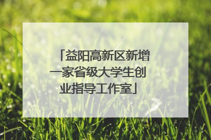 益阳高新区新增一家省级大学生创业指导工作室