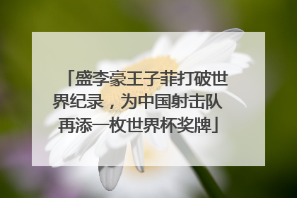 盛李豪王子菲打破世界纪录，为中国射击队再添一枚世界杯奖牌