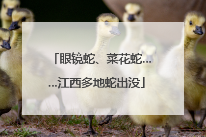 眼镜蛇、菜花蛇……江西多地蛇出没