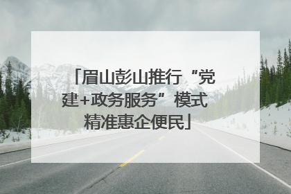 眉山彭山推行“党建+政务服务”模式 精准惠企便民