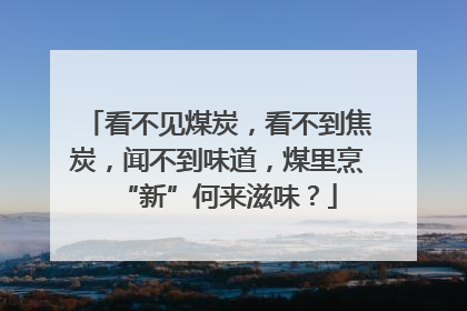 看不见煤炭，看不到焦炭，闻不到味道，煤里烹“新”何来滋味？