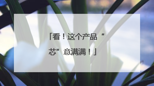 看！这个产品“芯”意满满！