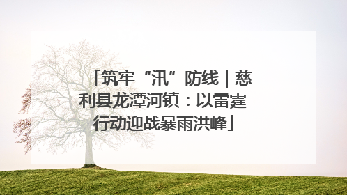 筑牢“汛”防线｜慈利县龙潭河镇：以雷霆行动迎战暴雨洪峰