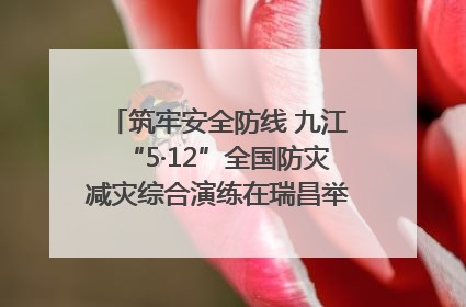 筑牢安全防线 九江“5·12”全国防灾减灾综合演练在瑞昌举行（组图｜视频）