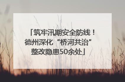 筑牢汛期安全防线！德州深化“桥河共治”整改隐患50余处