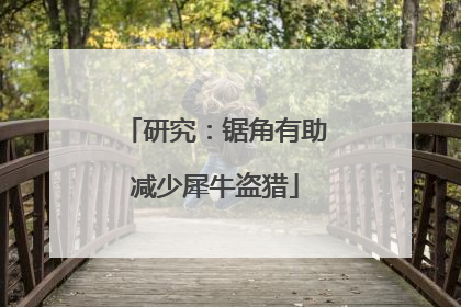研究：锯角有助减少犀牛盗猎