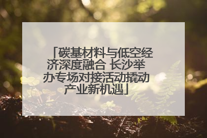 碳基材料与低空经济深度融合 长沙举办专场对接活动撬动产业新机遇