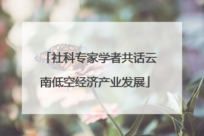 社科专家学者共话云南低空经济产业发展