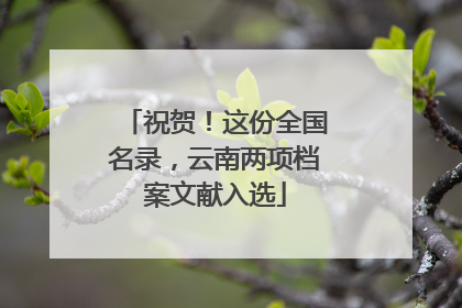 祝贺！这份全国名录，云南两项档案文献入选