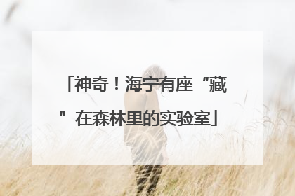 神奇！海宁有座“藏”在森林里的实验室