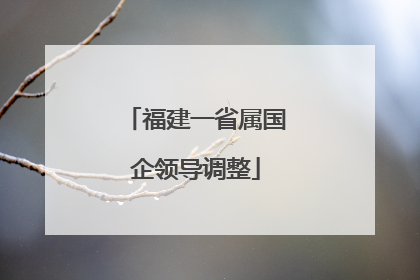 福建一省属国企领导调整