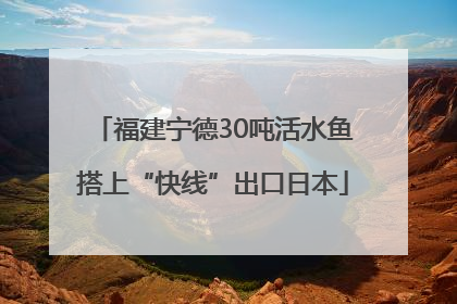福建宁德30吨活水鱼搭上“快线”出口日本