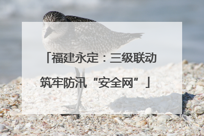 福建永定：三级联动筑牢防汛“安全网”