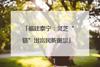 福建泰宁：灵芝“链”出富民新图景