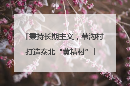 秉持长期主义，苇沟村打造泰北“黄精村”