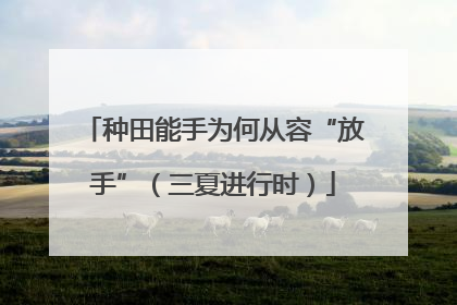 种田能手为何从容“放手”（三夏进行时）