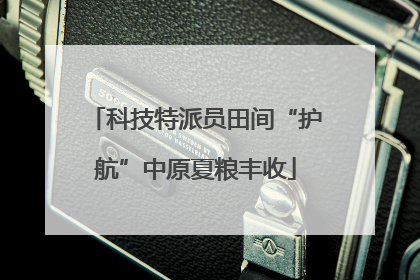 科技特派员田间“护航”中原夏粮丰收