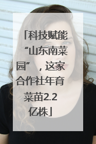 科技赋能“山东南菜园”，这家合作社年育菜苗2.2亿株
