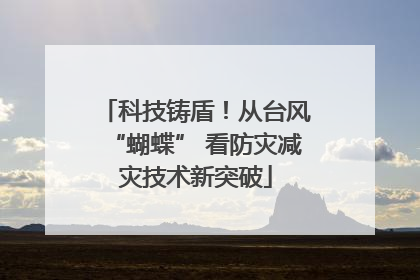 科技铸盾！从台风“蝴蝶” 看防灾减灾技术新突破