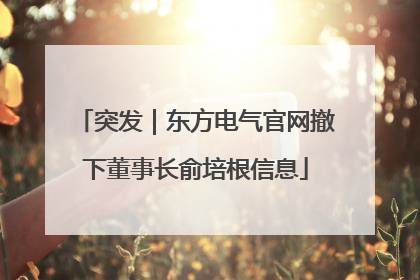 突发｜东方电气官网撤下董事长俞培根信息