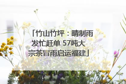 竹山竹坪：晴制雨发忙赶单 57吨大宗茶冒雨启运福建
