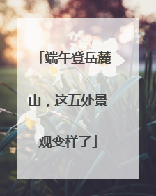 端午登岳麓山，这五处景观变样了