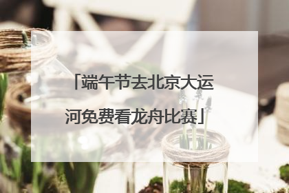 端午节去北京大运河免费看龙舟比赛