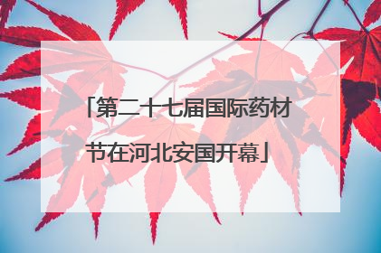 第二十七届国际药材节在河北安国开幕