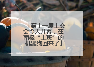 第十一届上交会今天开幕，在南极“上班”的机器狗回来了