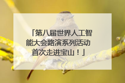 第八届世界人工智能大会路演系列活动首次走进宝山！