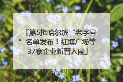 第5批哈尔滨“老字号”名单发布！红博广场等37家企业新晋入围