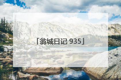 翁城日记 935